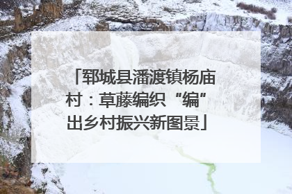 郓城县潘渡镇杨庙村：草藤编织“编”出乡村振兴新图景